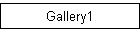 Gallery1